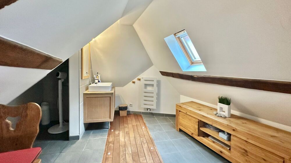 Duplex de charme Annecy vielle ville !