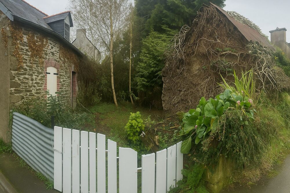 Vente Maison Maison et terrain à fort potentiel – 2 parcelles (400 m² et Carhaix-plouguer