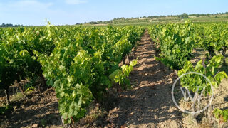  Terrain � vendre 91585 m�