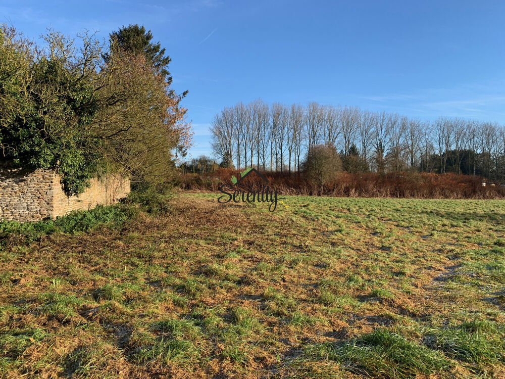 Vente Terrain TERRAIN DE 8500 M POUR LOTISSEMENT Condé-sur-l'escaut