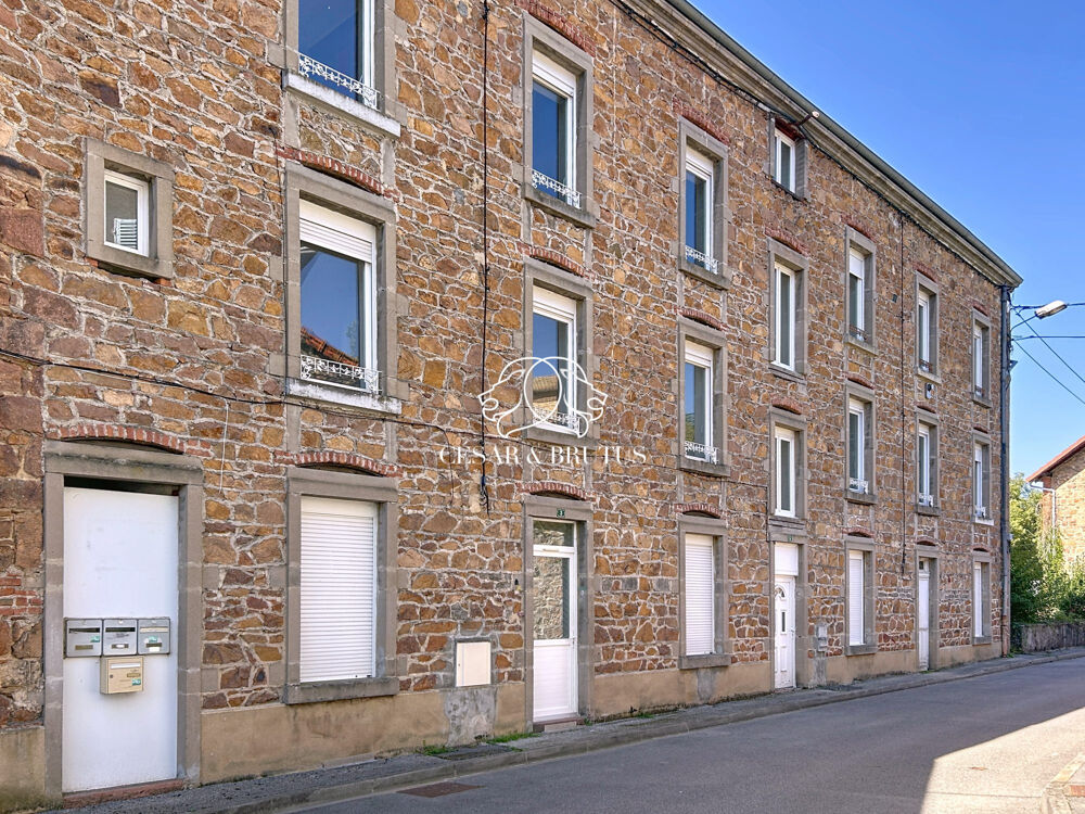 Vente Immeuble Immeuble de rapport en monopropriété – Pont-Trambouze (69) Cours