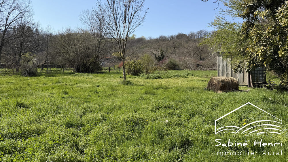 Vente Maison Maison de village avec cour et terrain Monestiés
