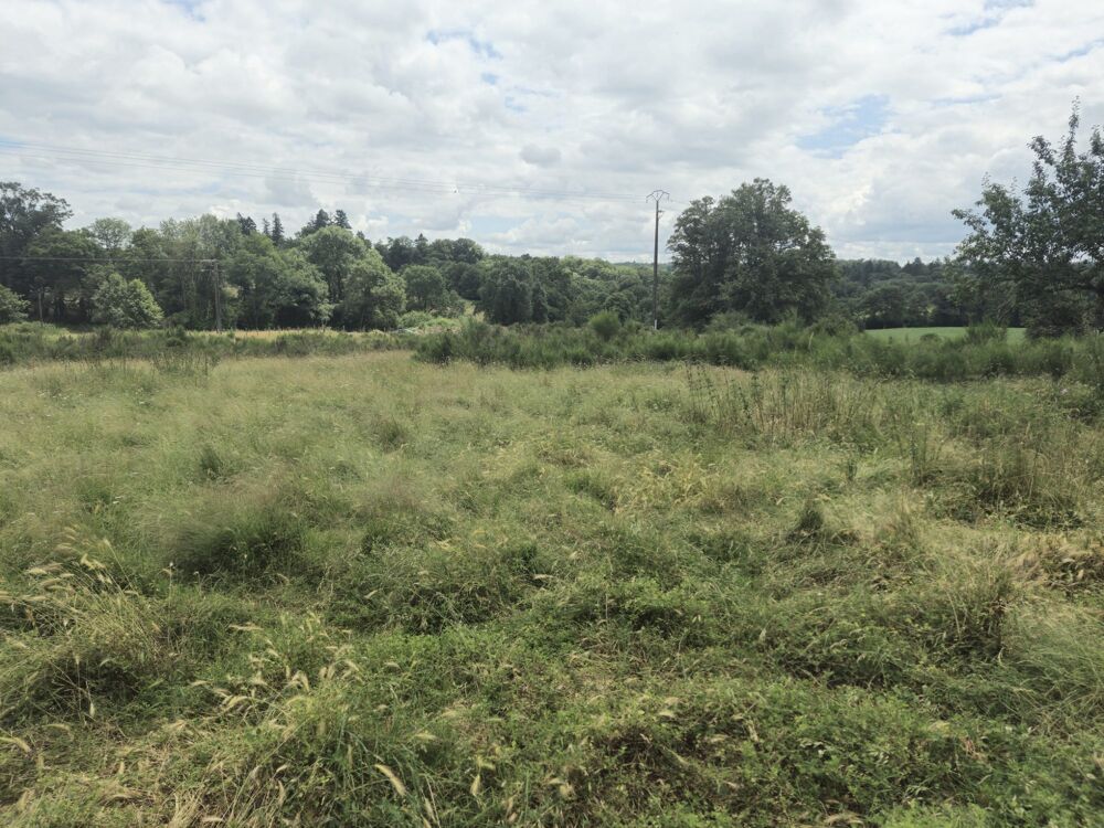   Très grand terrain d'activité de 2 Hectares situé proche de F 