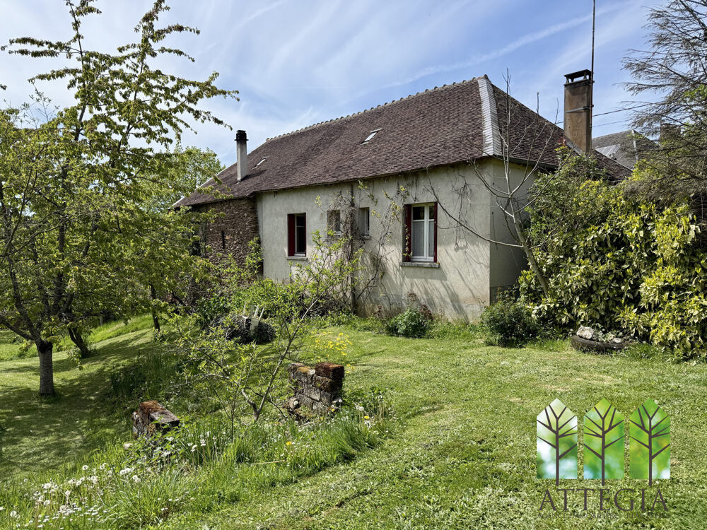 Vente Maison Adorable maison en pierre, avec grand terrain, garages, source. Mortroux