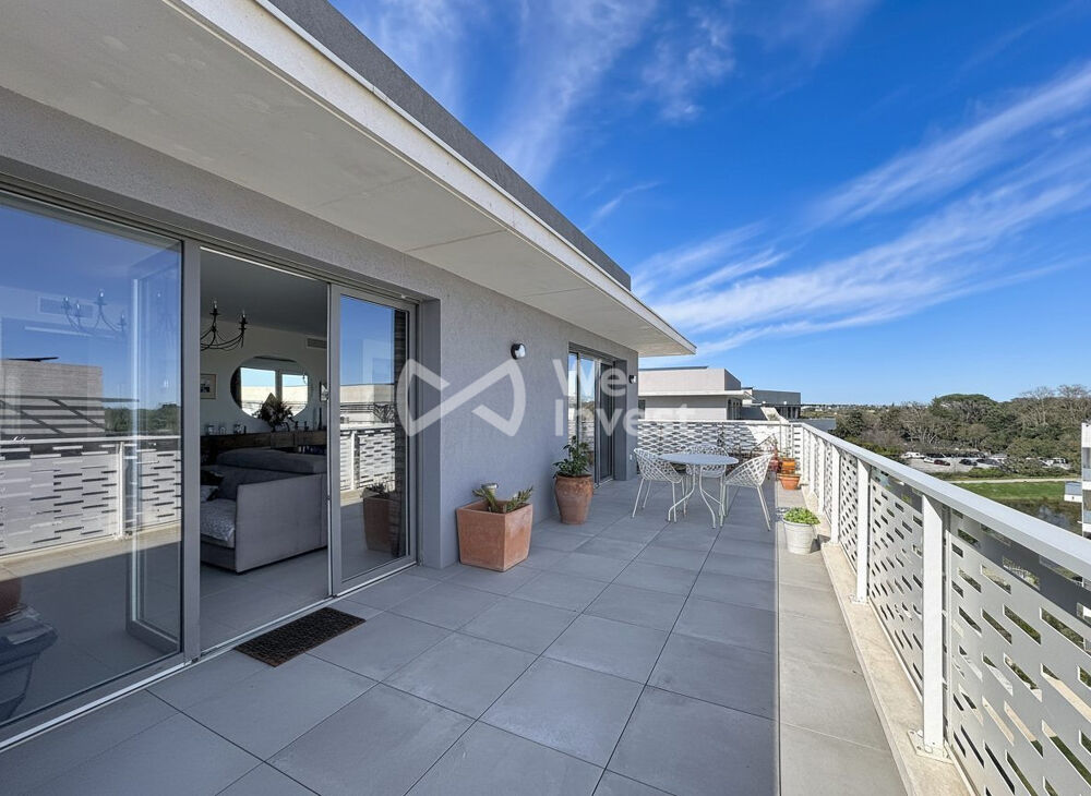 Vente Appartement magnifique Appartement en Toit Terrasse Castelnau-le-lez