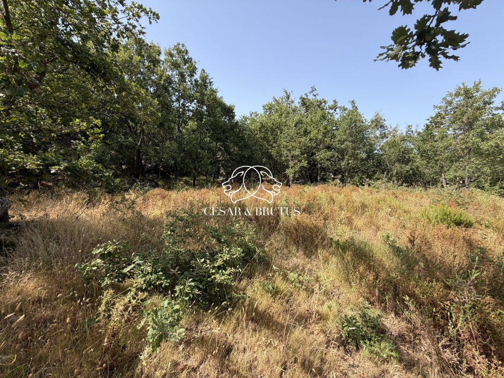 Vente Terrain TERRAIN CONSTRUCTIBLE A MURATO Murato