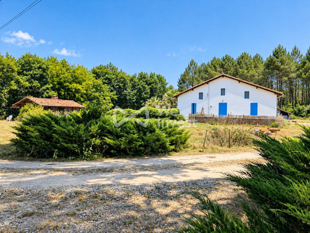 FERME LANDAISE DE CARACTÈRE  8 CHAMBRES  +1 HECTARE  P