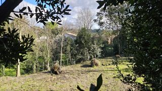  Terrain � vendre 440 m�