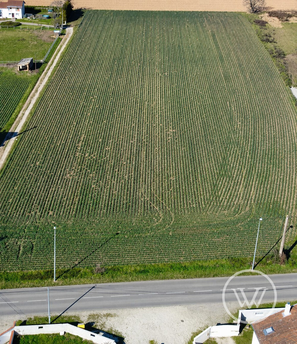 Vente Terrain Terrain à vendre Beaurepaire Beaurepaire