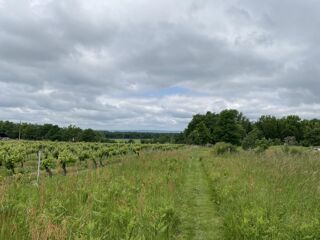  Terrain � vendre 10076 m�