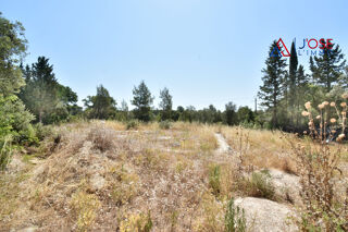  Terrain � vendre 2500 m� Grans