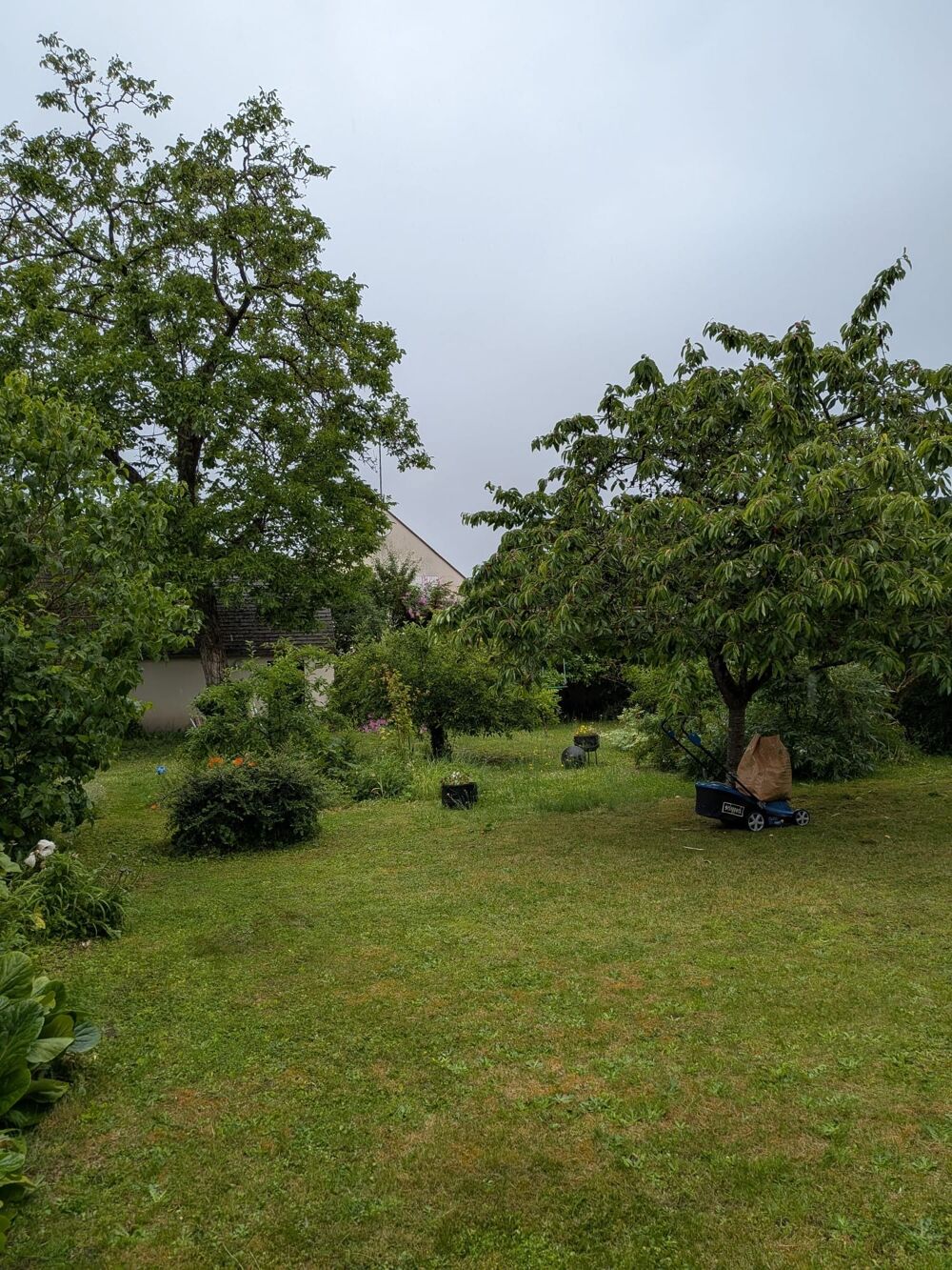 maison bourgeoise avec jardin,garage