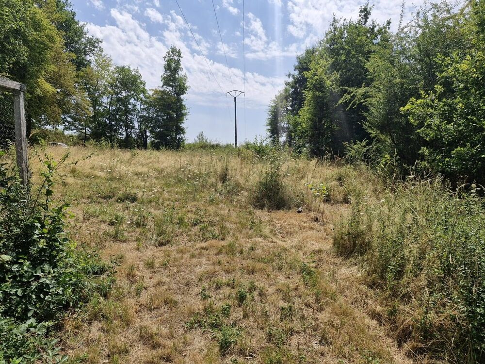 Vente Terrain Terrain à usage naturel-loisir à VERNEUIL-SUR-VIENNE ! Verneuil-sur-vienne