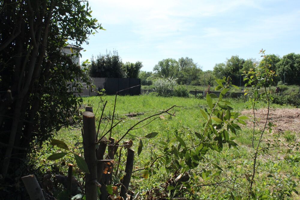 Vente Terrain Beau terrain plat Rillieux-la-pape