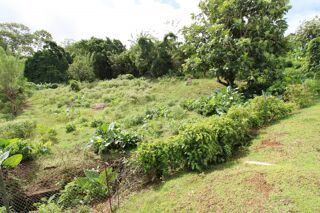  Terrain � vendre 4182 m�