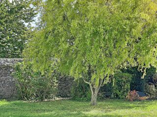  Maison à vendre 15 + pièces 295 m²