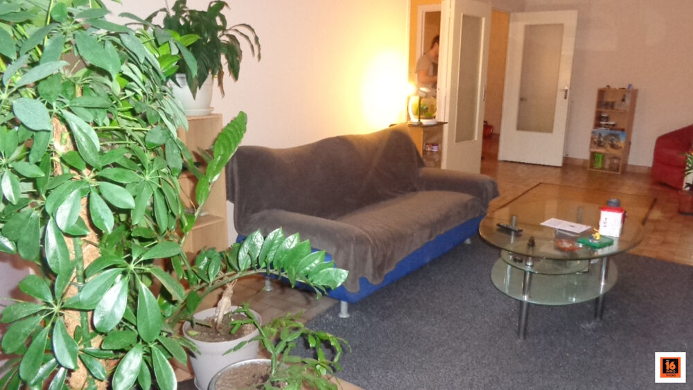 Location Appartement Joli T3 Thiers