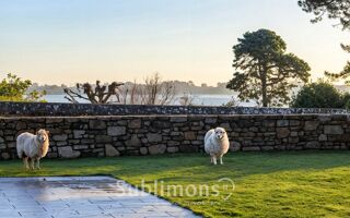  Maison � vendre 8 pi�ces 238 m�