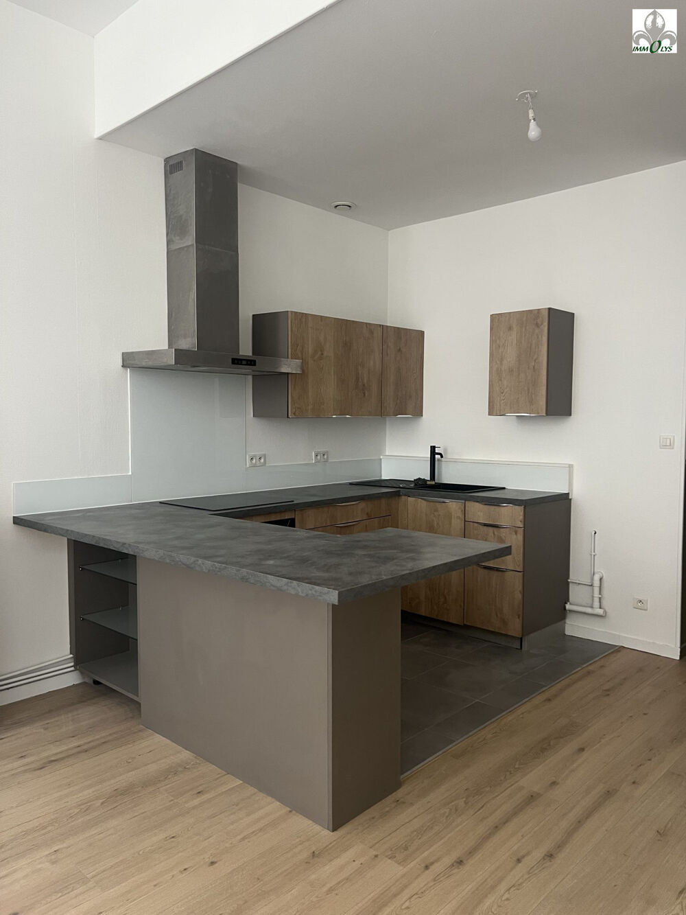 APPARTEMENT CENTRE-VILLE