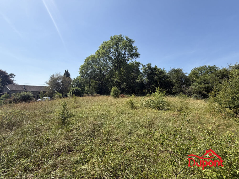 Vente Terrain terrain 1280 m2 Rocroi Rocroi