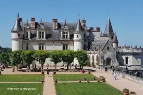   Propriété de standing avec piscine et parc arboré-Amboise Maison - 7 pièce(s) - 206 m²