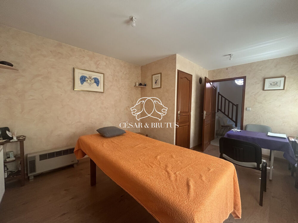  vendre  Maison Villeurbanne (69100)