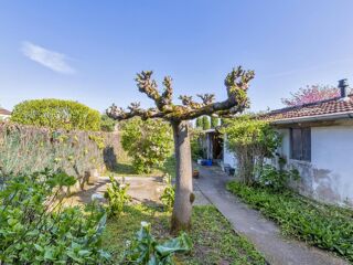  Maison � louer 6 pi�ces 148 m� Albi