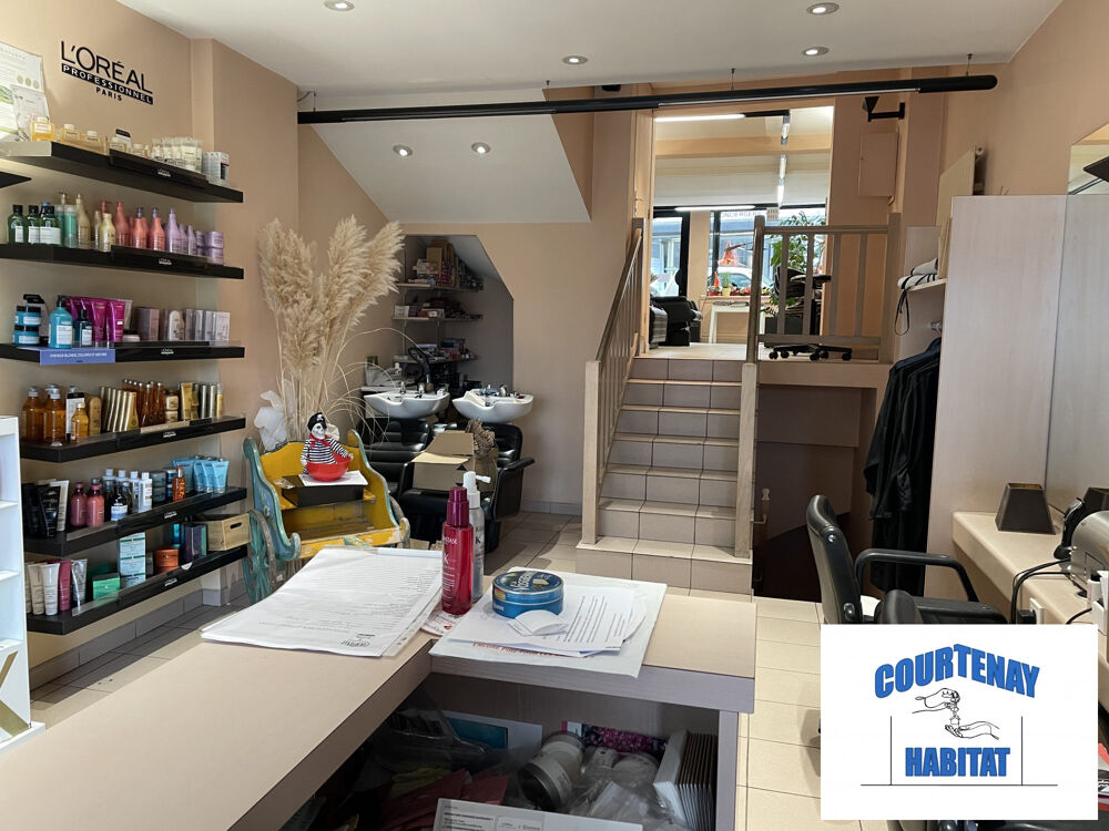 Vente Appartement Immeuble avec local commercial Courtenay