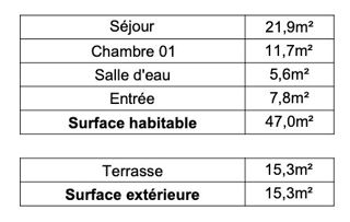  Appartement � vendre 2 pi�ces 47 m�