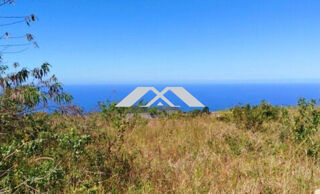  Terrain  vendre 333 m