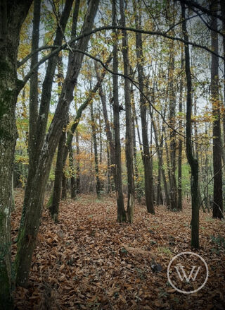  Maison � vendre 8 pi�ces 240 m�