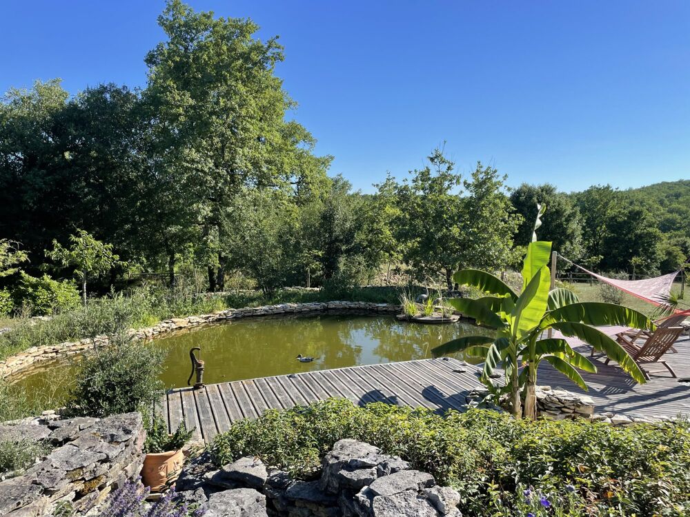 Ensemble immobilier avec maison principale, studio climatisé et