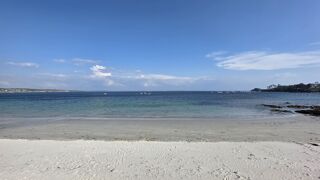  Appartement � vendre 4 pi�ces 116 m�