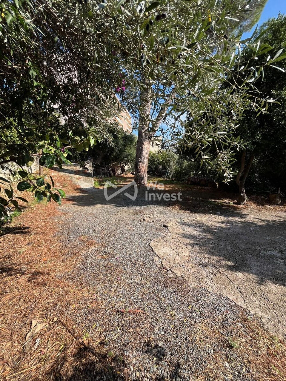 à vendre  Maison Ville-di-Pietrabugno (20200)