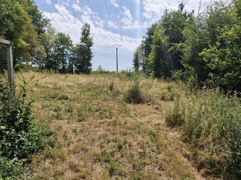   Terrain à usage naturel-loisir à VERNEUIL-SUR-VIENNE ! 