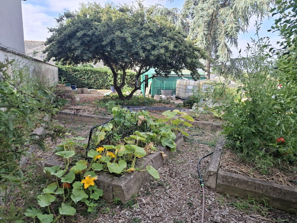 Maison à louer MONTJEAN SUR LOIRE