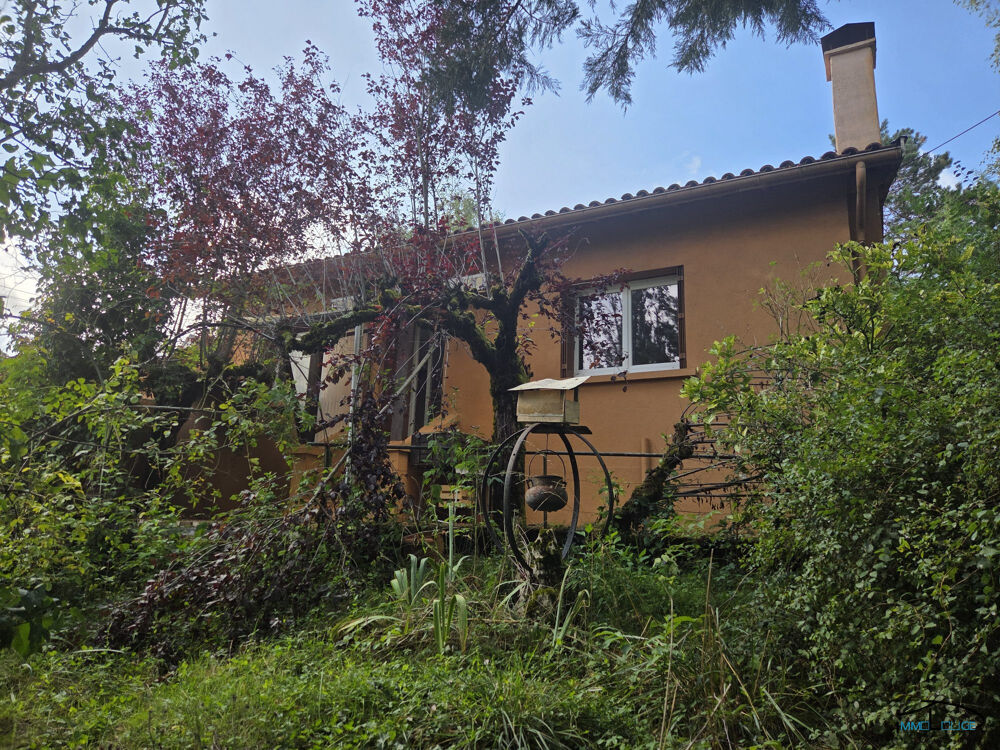 Maison avec grand terrain constructible