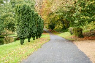  Propri�t�/ch�teau � vendre 15 + pi�ces 650 m�