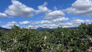  Maison � vendre 5 pi�ces 135 m�