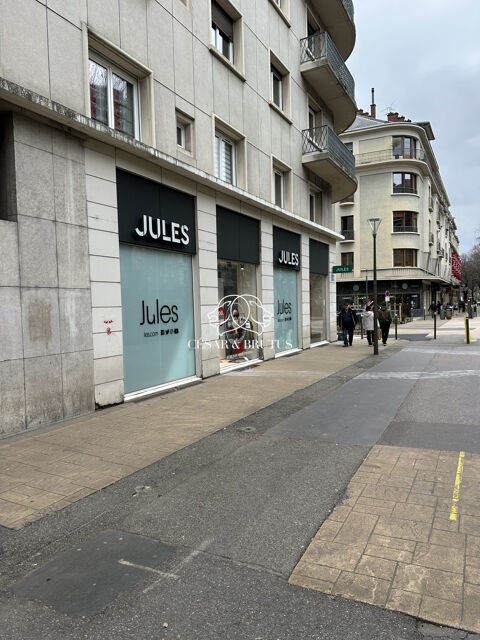   Immobilier Professionnel à louer Chambéry 