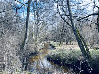  Terrain  vendre 13137 m