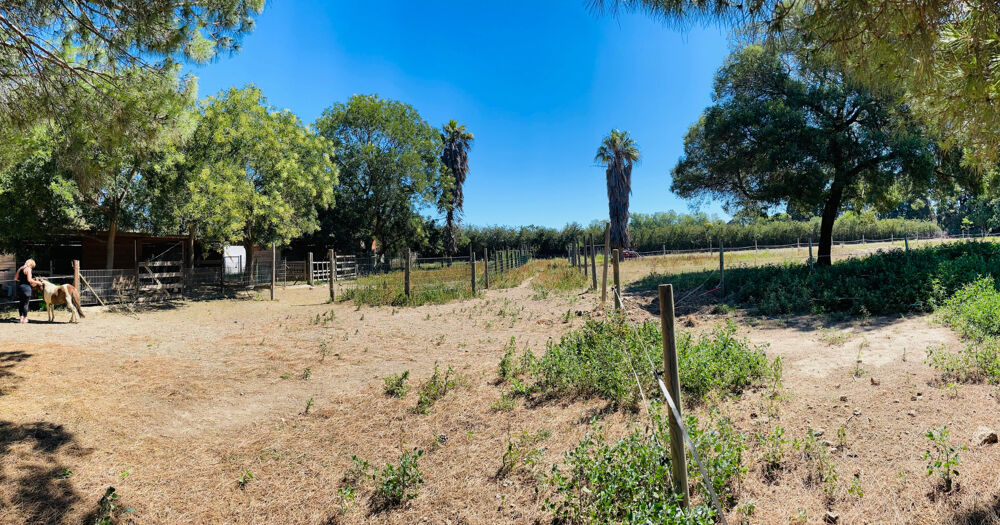 � vendre  Maison Elne (66200)