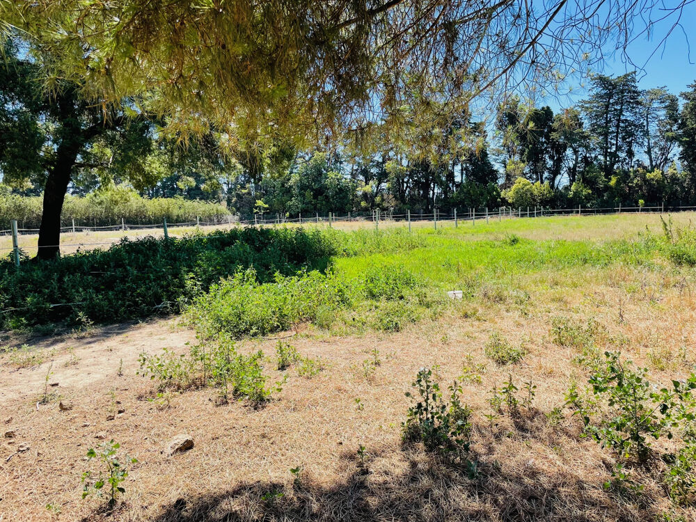 � vendre  Maison Elne (66200)