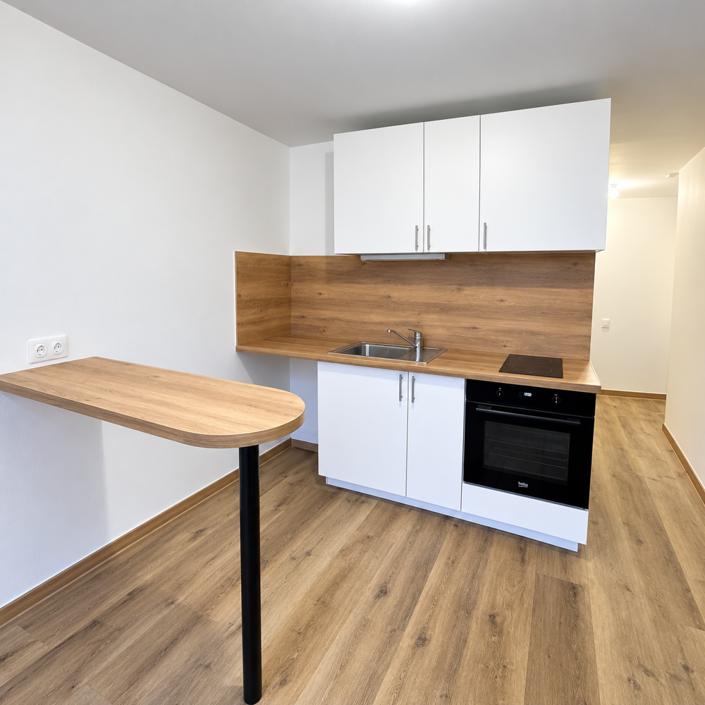 A louer - charmant appartement rénové secteur place des Vosges.