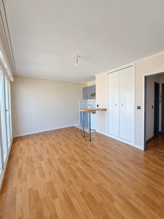  Appartement à louer 1 pièce 25 m²
