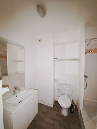  Appartement à louer 1 pièce 20 m²