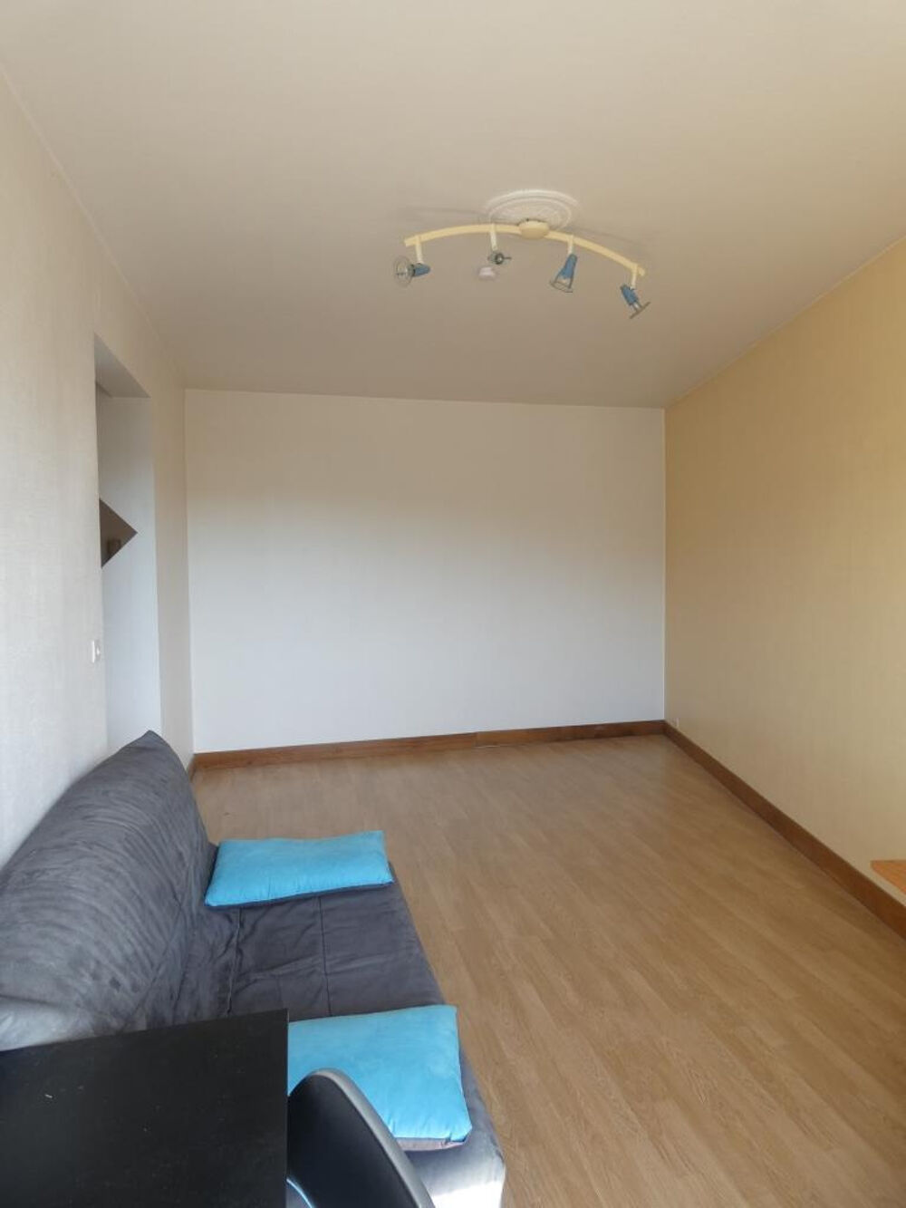 Location Appartement STUDIO rue HERMITE NANCY Nancy