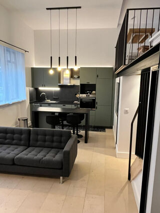  Appartement à louer 2 pièces 52 m²