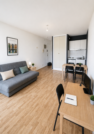  Appartement à louer 1 pièce 24 m²