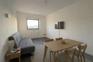  Appartement � louer 1 pi�ce 24 m�